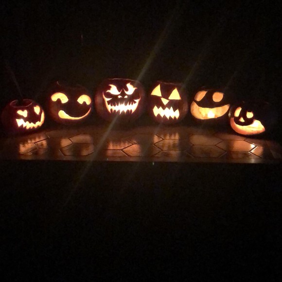 Meet your Posher, Amelia - Picture 1 of 1